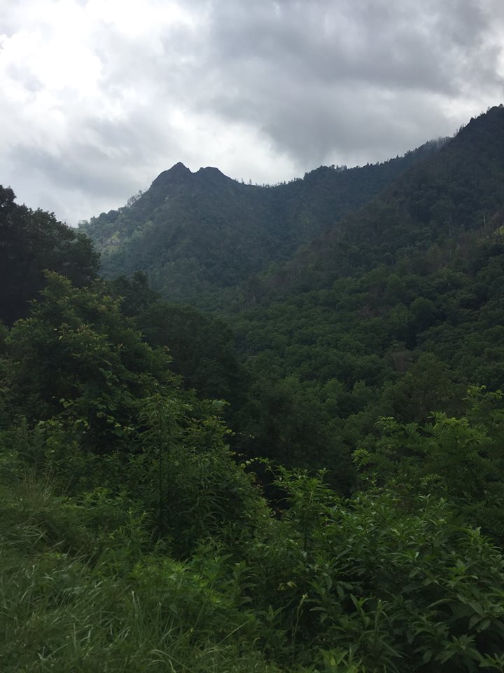 37200300_420743831744485_7966826710995828736_n