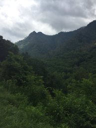 37200300_420743831744485_7966826710995828736_n