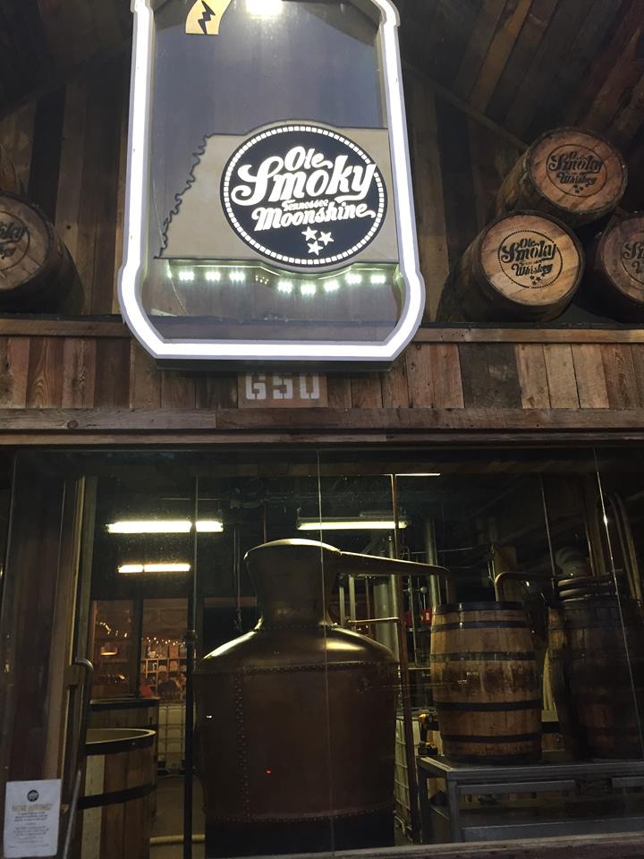 37261544_421263471692521_1101857659172159488_n