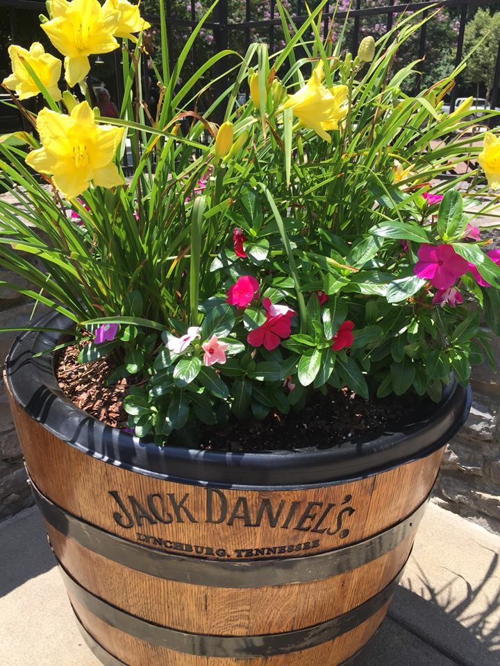 37354463_421850188300516_411072470951395328_n